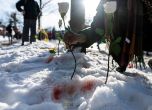 Американците настръхнаха, след като имиграционните застреляха майка в колата ѝ slid Американците настръхнаха, след като имиграционните застреляха майка в колата ѝ slid