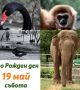 Зоологическа градина София става на 130 години