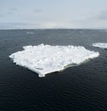 Открито е „липсващото звено“ в процес, който води до ледников период на Земята