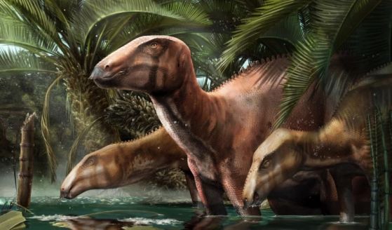 Динозаври Tethyshadros insularis