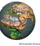 Земята вдишва и издишва въглерод в хипнотична анимация (видео)