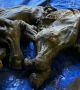 Мумифицирано бебе вълнест мамут е намерено от златотърсач в Клондайк