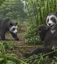 Голямата панда от миоцена е имала загадъчен допълнителен „палец“