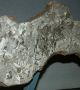 Октаедрит с голям, изрязан, полиран с азотна киселина срез от парче от метеорита "Каньон Диабло" (Canyon Diablo), който показва  фантастична структура.