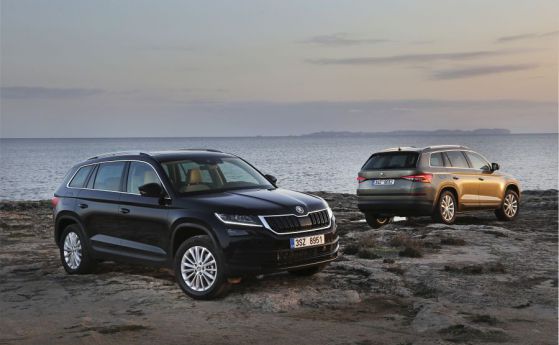Дресировка на големи мечки: тест Skoda Kodiaq