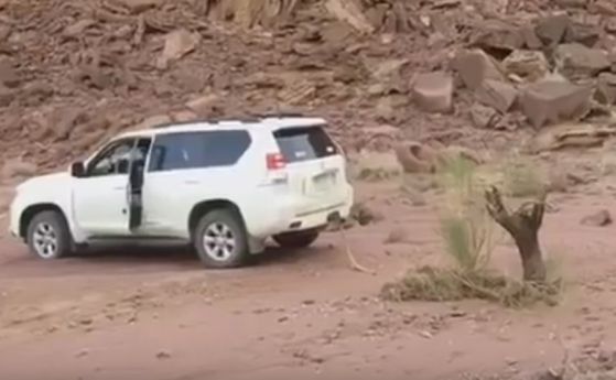 Toyota Land Cruiser загуби пустинна битка с упорит дънер (видео)