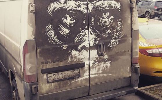 Мръсните коли като платно за художник