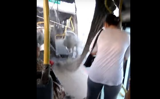 Автобус от градския транспорт в Бразилия се разцепи в движение (видео)