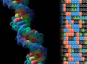 РНК и ДНК свят