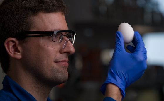 Химици се научиха как да връщат варени яйца отново в сурово състояние (видео)
