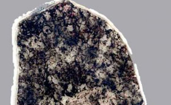 Учените откриват бактерия, която не се е променяла повече от 2 милиарда години