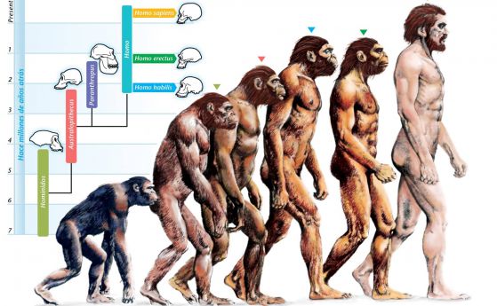Еволюцията на човека продължава