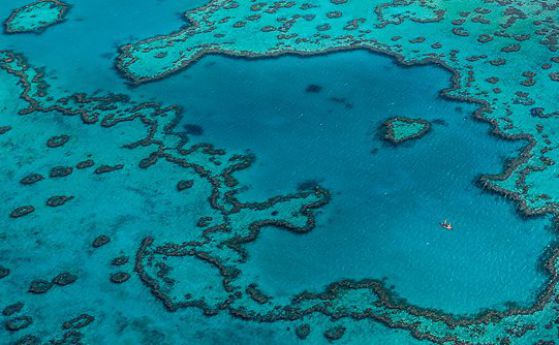 ЮНЕСКО ще включи Големия коралов риф в списъка на застрашените обекти
