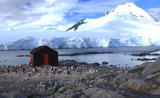 Търсят се хора за работа в Антарктида, издръжливи на вонята на пингвините