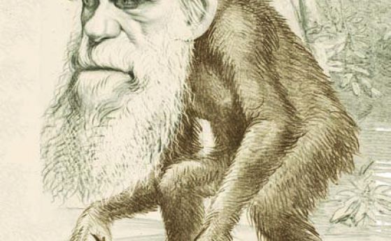 Топ 10 на митовете за еволюцията