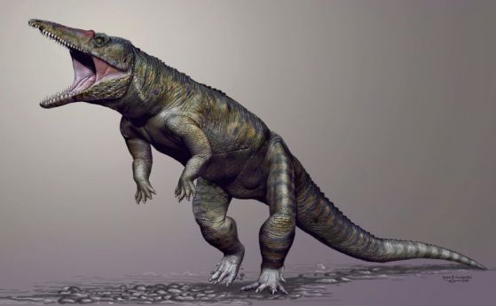 Открит е гигантски предшественик на крокодилите от периода Триас