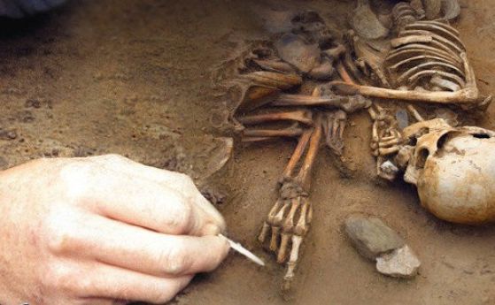 Археолози от Ирландия откриха останки от нов хуманоиден вид