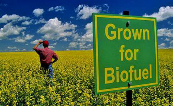 Учените: преходът към биогорива заплашва с недостиг на храна
