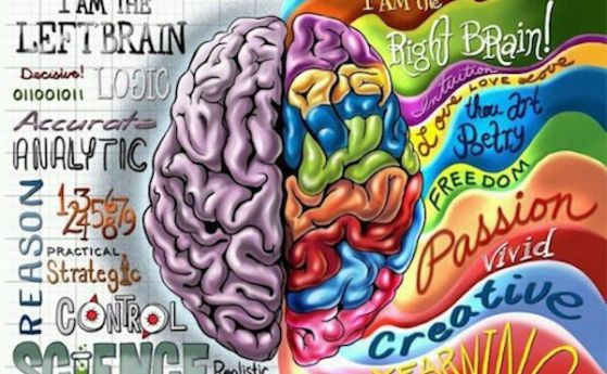 Топ 10 на митовете за човешкия мозък