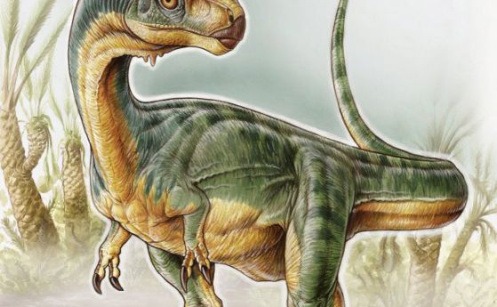 Палеонтолозите намериха  роднина на T. Rex - вегетарианец