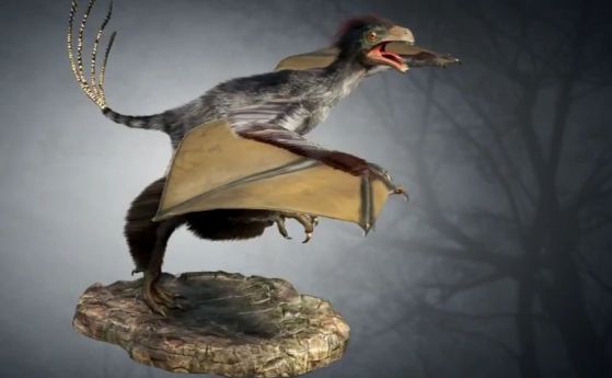 Батманът на динозаврите е открит от китайски учени (видео)
