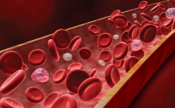 Всички кръвни групи ще могат да се превръщат в универсалната донорска нулева група