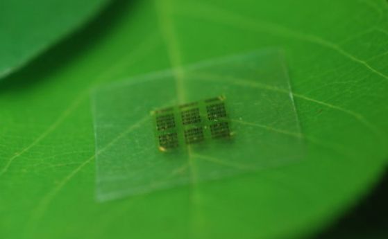 Създадени са биоразградими компютърни чипове от дърво