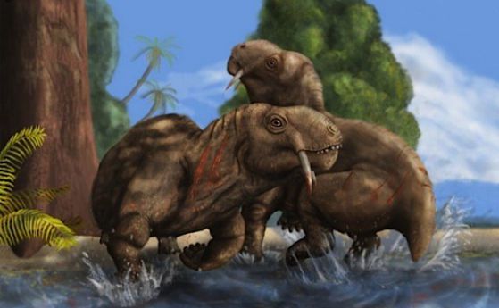Предшественик на бозайниците е водел битки със зъби като сабя много преди динозаврите