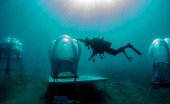 Подводни оранжерии за босилек в Италия