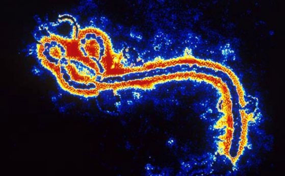 За първи път ваксина дава 100% ефективна защита срещу Ебола