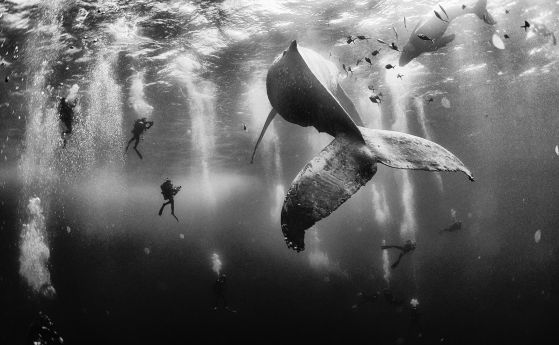 National Geographic показа победителите във фотоконкурса Traveler Photo Contest-2015