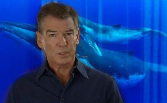 Пиърс Броснан към военноморските сили на САЩ: Спрете да убивате китове! (видео)
