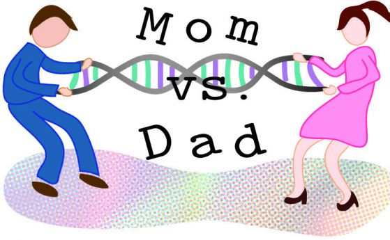 Мама и татко воюват в нашите гени и мозъци