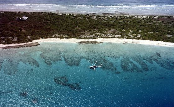Морският живот на атола Бикини процъфтява след 23 атомни бомби 