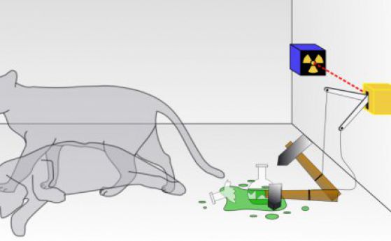 Живо същество в ролята на котката на Шрьодингер предлагат китайски учени