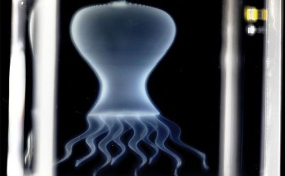Напечатаха подвижна медуза с 3D-принтер (видео)