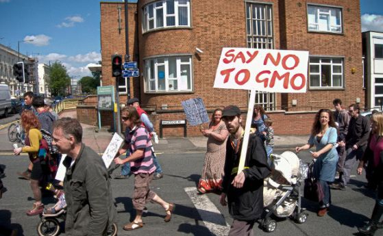 Биолозите се научиха да не оставят "улики" в ГМО 