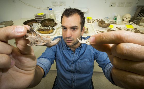 Кости на плъх с размерите на куче са намерени в Югоизточна Азия 