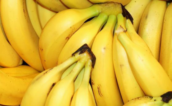 Лоша перспектива за бъдещето на бананите (видео)