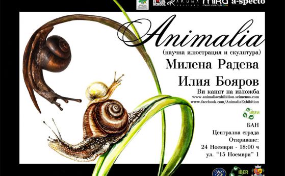 В БАН се открива изложба „Аnimalia“- научна анимация и скулптура