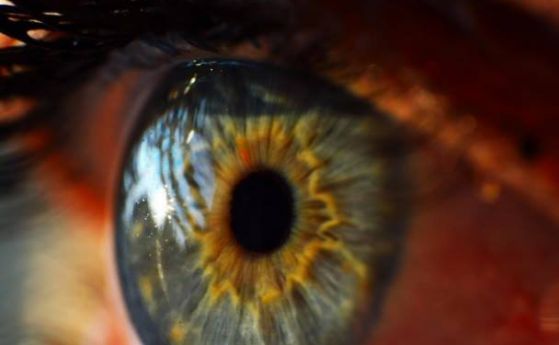 Изкуствено око може да изпраща изображения направо на мозъка
