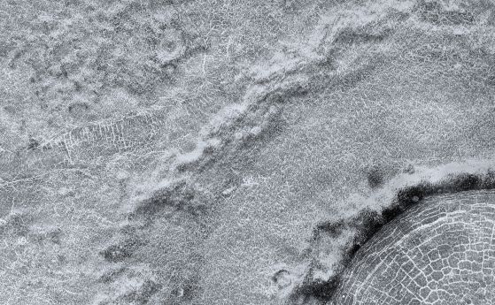 Орбиталният апарат MRO направи снимка на кратер на повърхността на Марс, покрита с паяжина от пукнатини