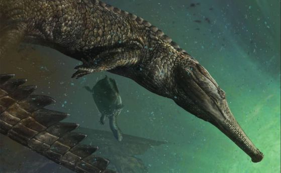 Открити са останки на най-голямото, подобно на крокодил,  праисторическо морско чудовище (видео)