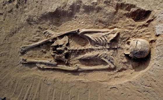 Открити са следи от една от най-ранните войни в човешката история
