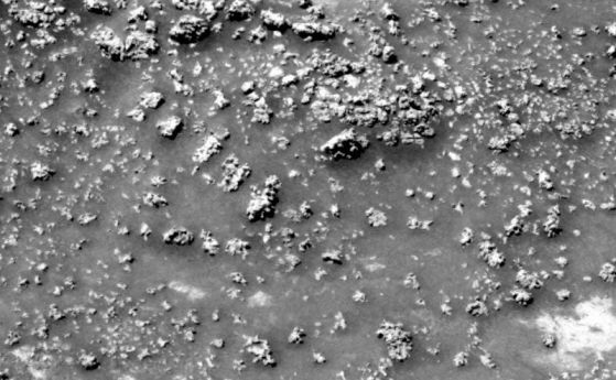 Необичайни скали, подобни на "карфиол", може да съдържат улики за древен живот на Марс (видео)