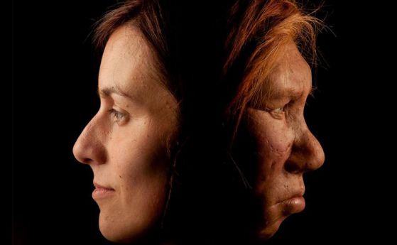 Нашето скрито неандерталско ДНК може да повишава риска за алергии и депресии