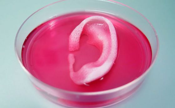3D принтер отпечатва ухо от живи клетки (видео)