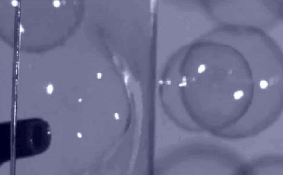 Научен експеримент със сапунени мехурчета (видео)