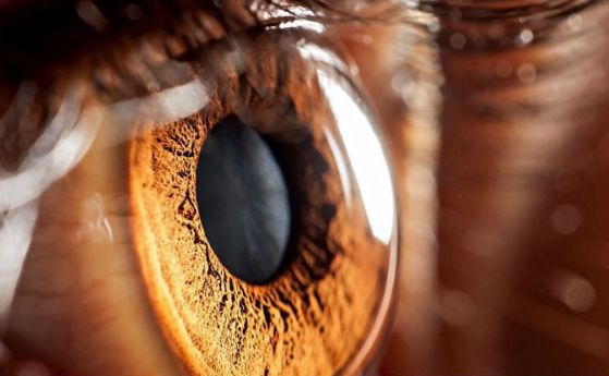 Започват тестове върху хора на нов метод, възстановяващ зрението на слепи