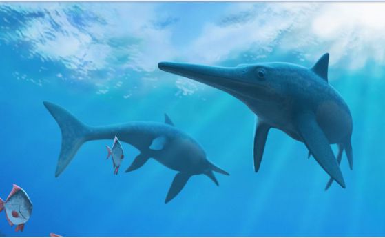 Как климатът уби подводните братовчеди на динозаврите